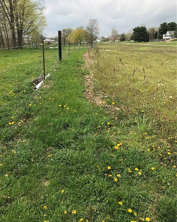 2nd image of Jericho Rd