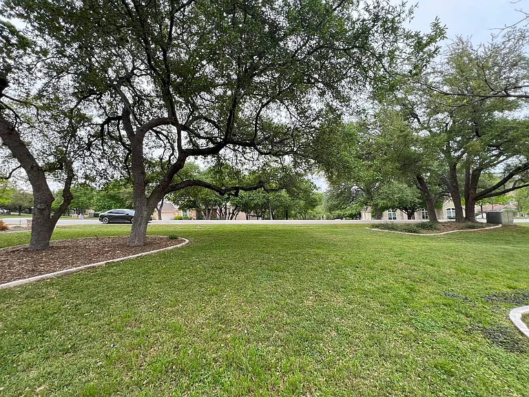 lush front yard