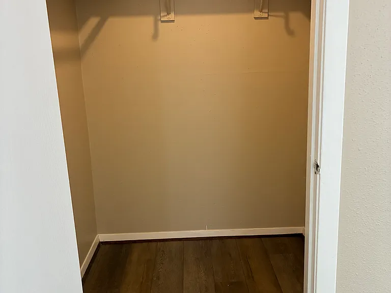 Downstairs master closet
