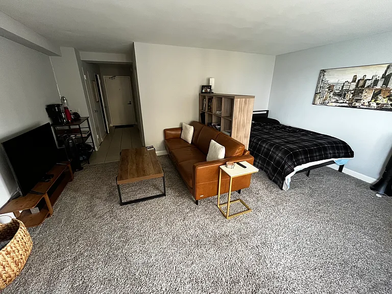 1360 N Lakeshore Dr #1716 — Photo 5
