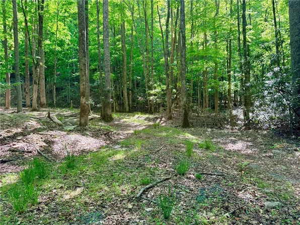 Lot 5A Buckeye Ridge Road, Beech Mountain, NC 28604