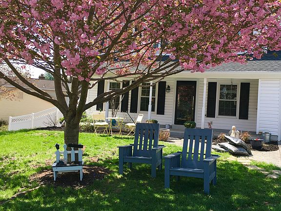 Cherry blossom this Spring