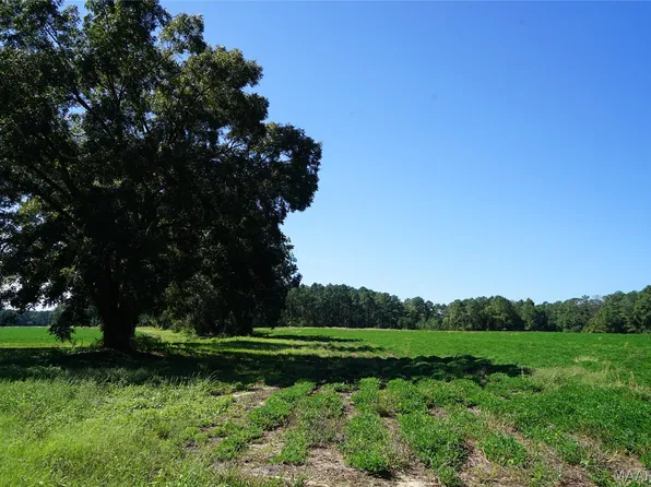 216 County Road 215 Cir, Ariton, AL 36010