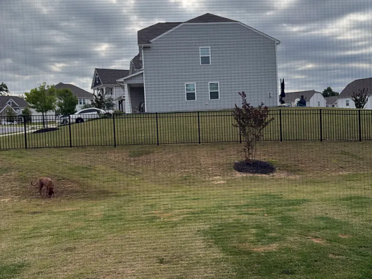 353 Kennerly Center Dr — Photo 9