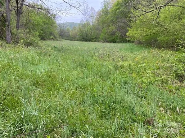 547 Long Branch Rd Tract 2, Marshall, NC 28753