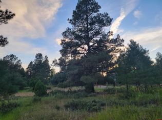 241 Trapper Dr, Pagosa Springs, CO 81147