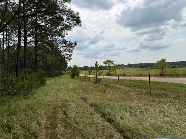 PARCEL 10 Yawn School Rd, Lumberton, MS 39455