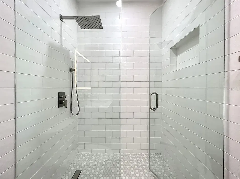 5000 Culbreath Key Way — Photo 3