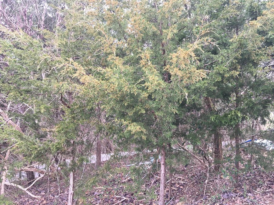 1st image of 4519 Sevierville Pike
