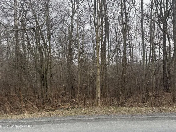 Freytown Rd, Gouldsboro, PA 18424