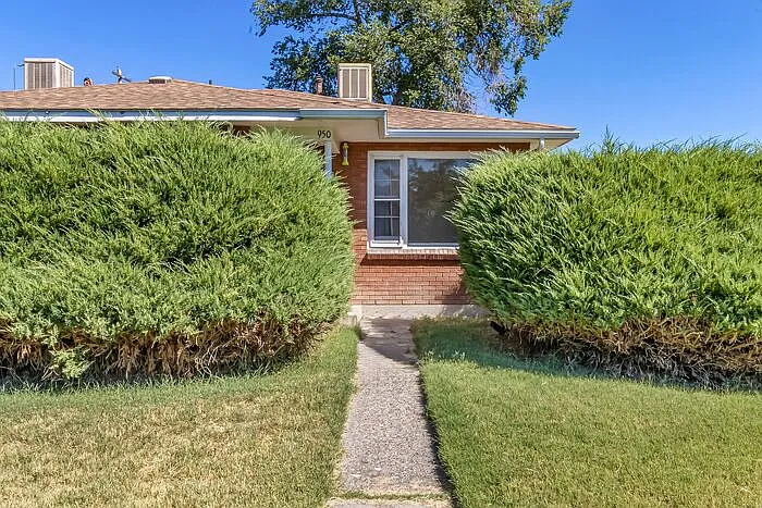 1 bed, 1.0 bath, $1,350 — Photo 4
