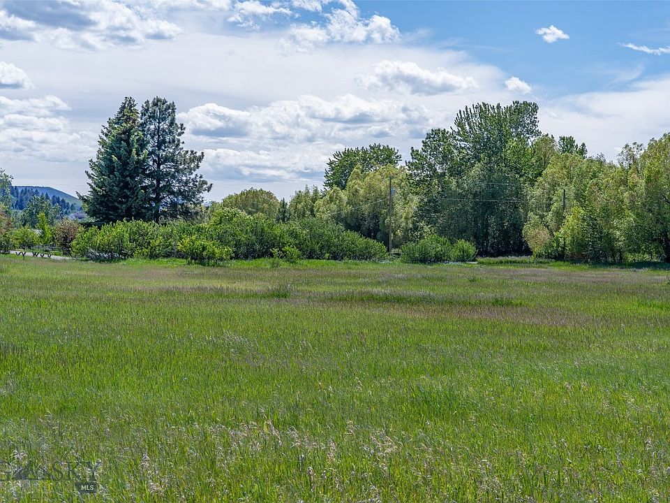 1st image of Golden Buffalo Rd