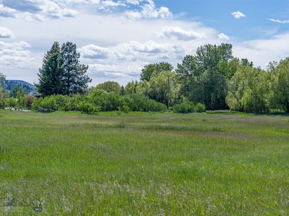 Golden Buffalo Rd, Bozeman, MT 59715
