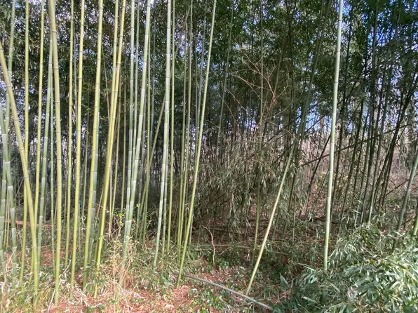 0 NW Dr NW, Atlanta, GA 30331