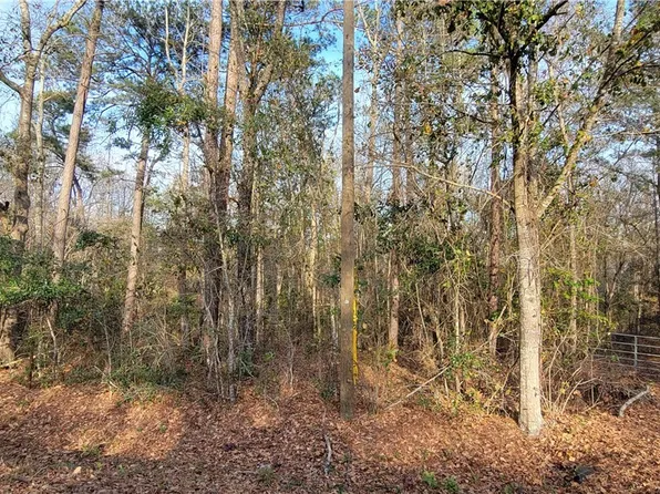 0 Pine Needle Drive, Ellabell, GA 31308