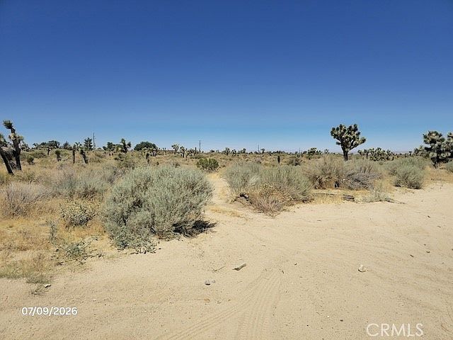 2nd image of 0 Daisy Rd