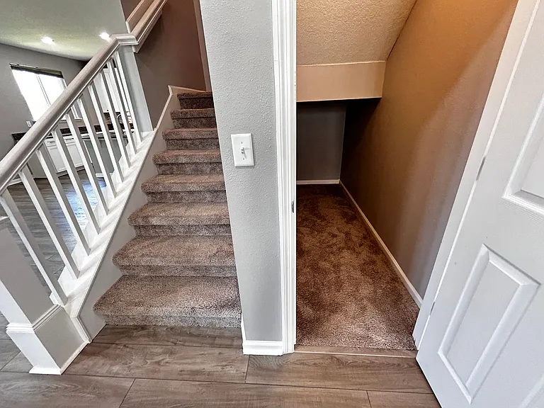 11646 Pacific Dogwood Ct — Photo 23