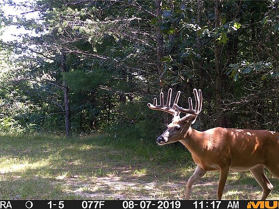 2nd image of 637 Lake Road