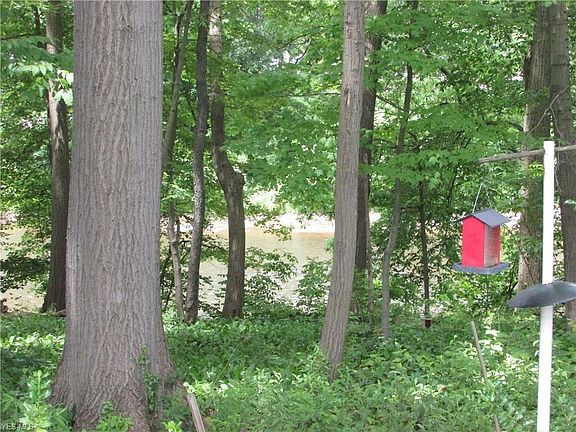 3rd image of 893 Gaylord Grove Rd