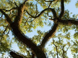 1048 Ferry Crossing Cir, Charleston, SC 29414