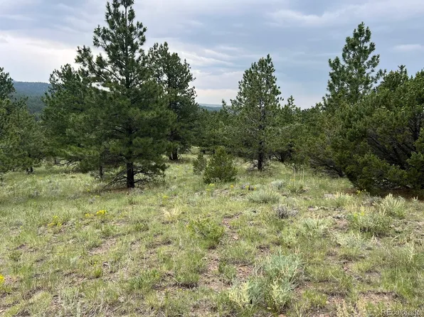 47 Bittersweet Lane, Westcliffe, CO 81252