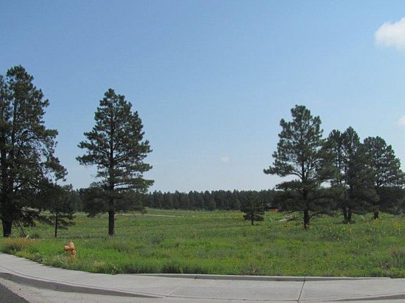 4th image of 226 N Royal Troon Drive #97