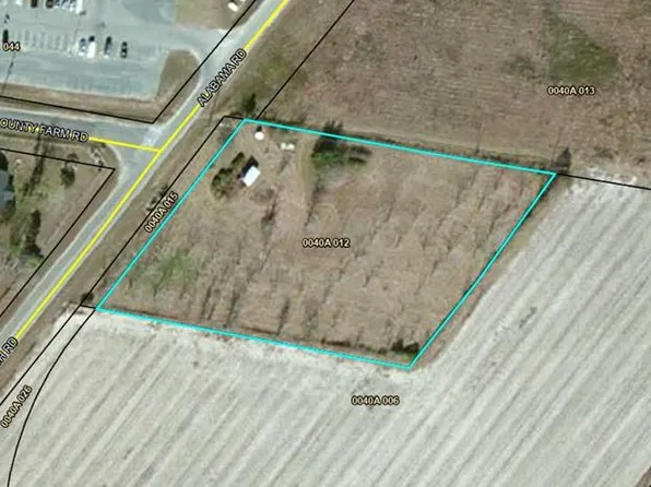 11 Antioch Rd, Adel, GA 31620