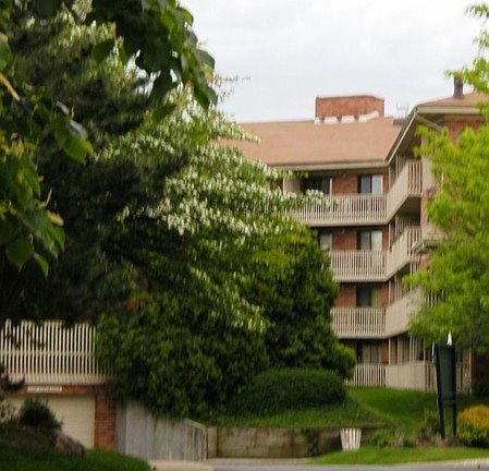3rd image of 1700 Wedgewood Dr APT 407