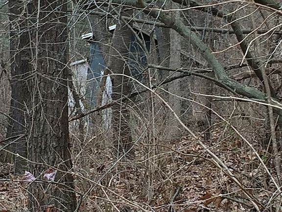 Kids Fort or Warm Tree Stand