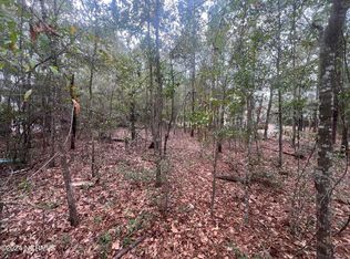 517 Crab Apple Ln, Wilmington, NC 28412