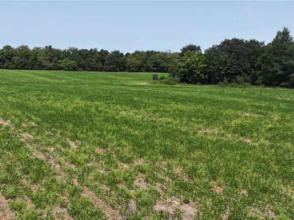 171 Highway Jj, New Florence, MO 63363