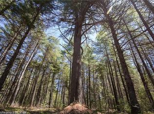 7 Diamond Rd, Mariaville, ME 04605