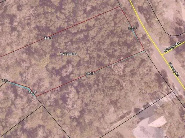 0 Canopy Ln Lot 140, Waverly, GA 31565