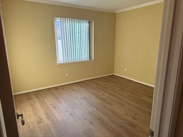 1 bed, 740 sqft, $1,900 — Photo 2
