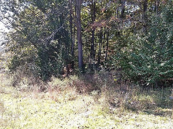 Property has been bushed hoged