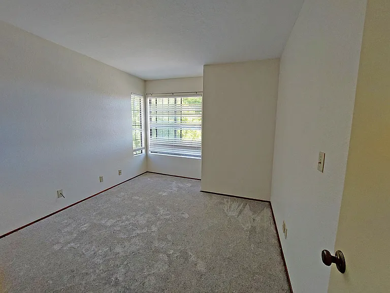 11710 Calle Vivienda — Photo 16