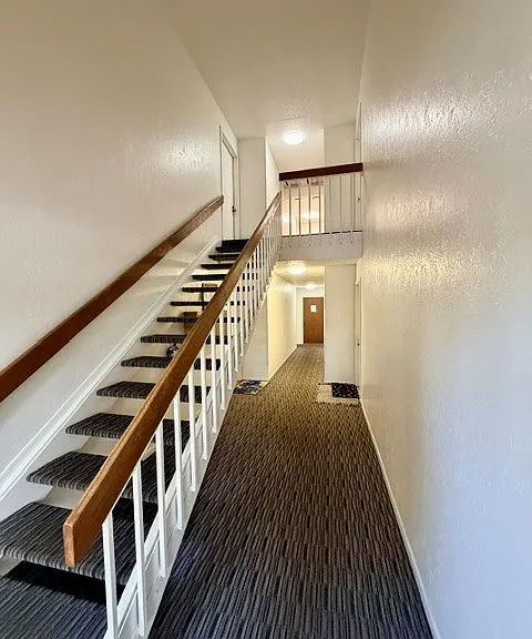 Hallway of the building from the entry doors to the building