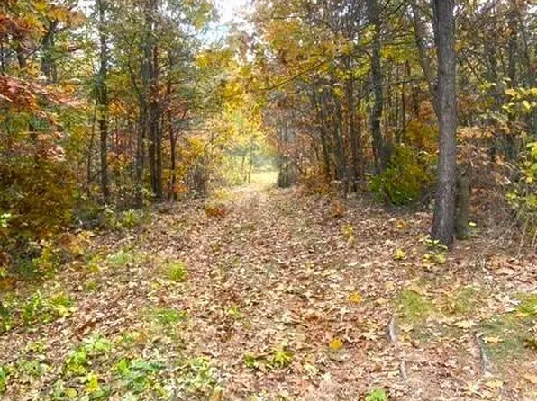 58.87 acres Nash Road, Black River Falls, WI 54615