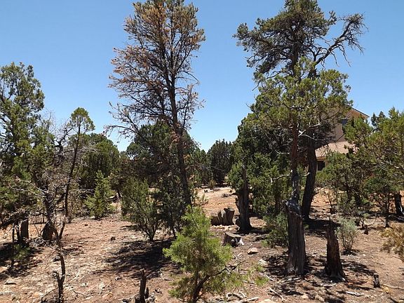 4th image of 1529 Low Mountain Trl