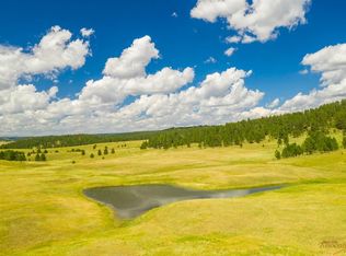 11803 W Argyle Rd, Custer, SD 57730