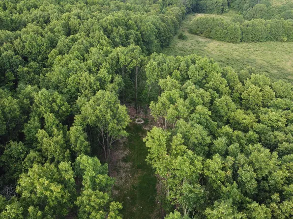 000 County Road Ak-541, Ava, MO 65608