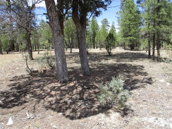 5227 Taos Cir, Happy Jack, AZ 86024