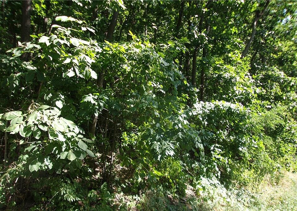 2nd image of 5661 E Lake Rd