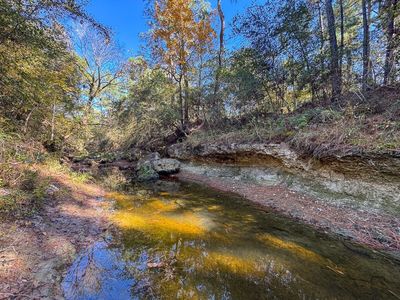 Rosenwall Rd, Huntsville, TX, 77320
