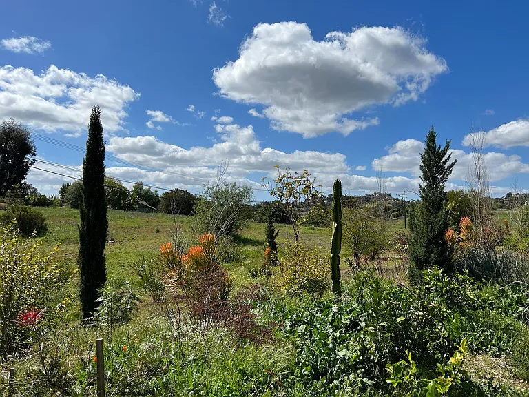 Vista Montanoso — Photo 14