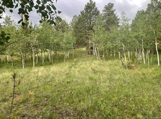 92 Lanier St, Bailey, CO 80421