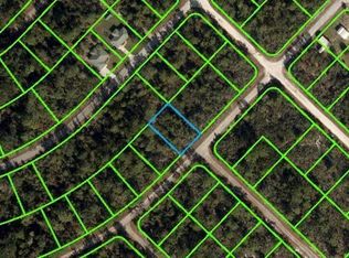 920 Cork Tree Rd, Lake Placid, FL 33852