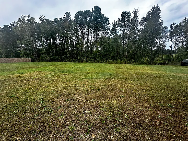 146 Pine Meadow Way — Photo 3