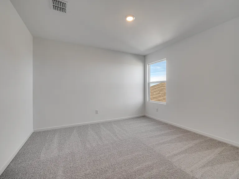 3145 Burmese St — Photo 19