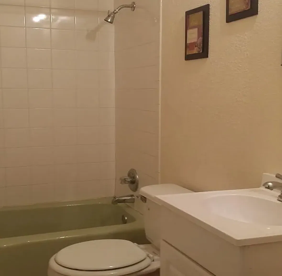 LonesStar 4025 Vanette — Photo 2